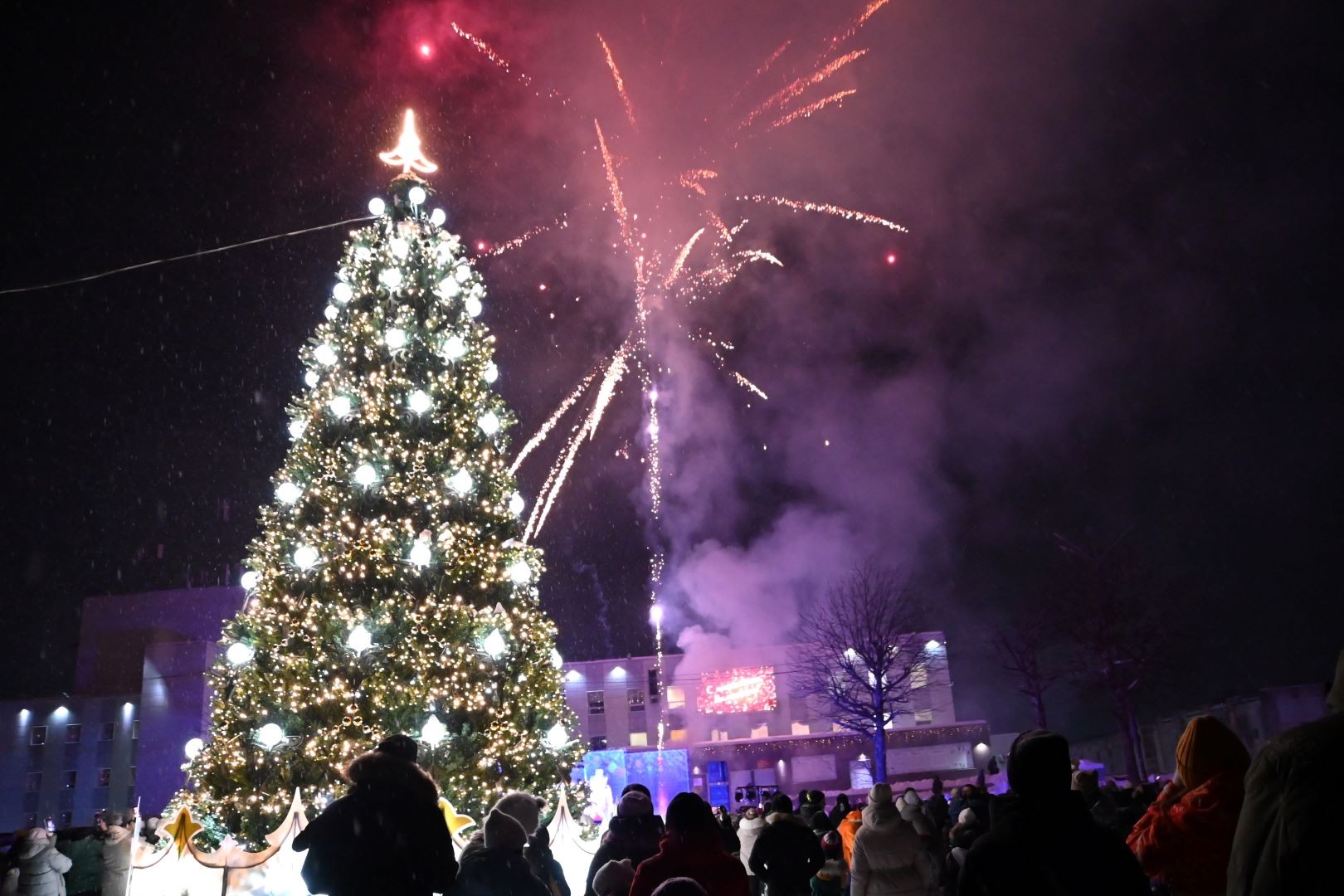Ёлки Вилючинска зажгли свои огни